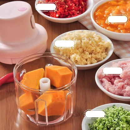 ZYRAA Electric Vegetable Chopper